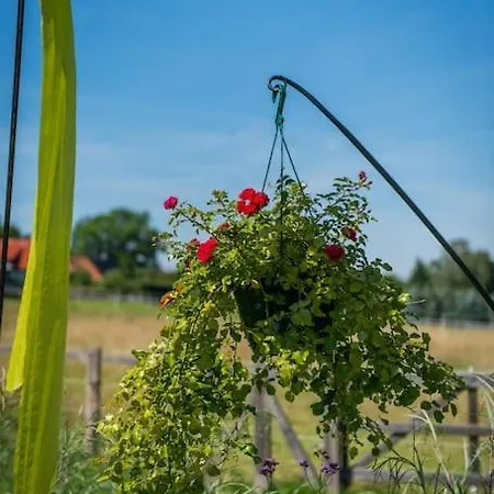 Dein Blick Ins Gruene